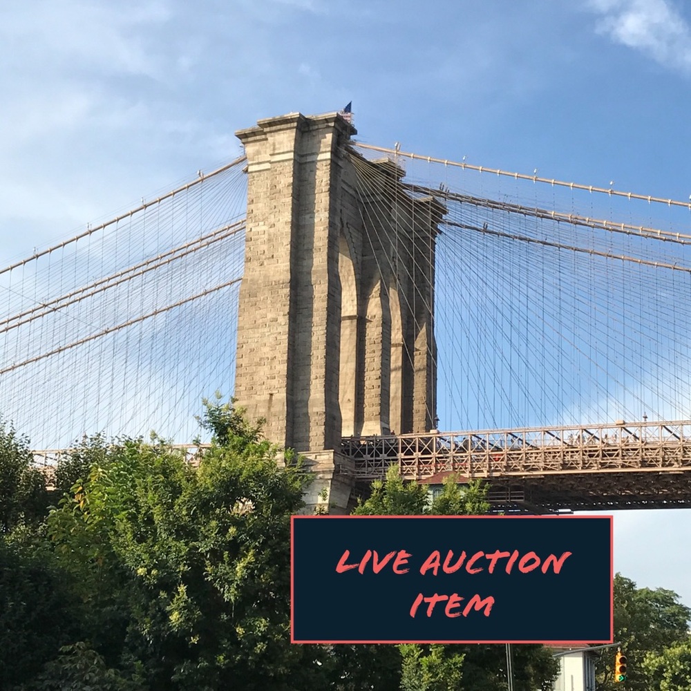 Luxury Live Auction Item